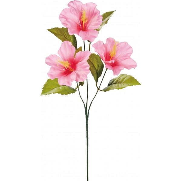 ハイビスカスX3