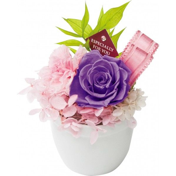 プリギフト ナチュラルPU SPDD-0248 1個