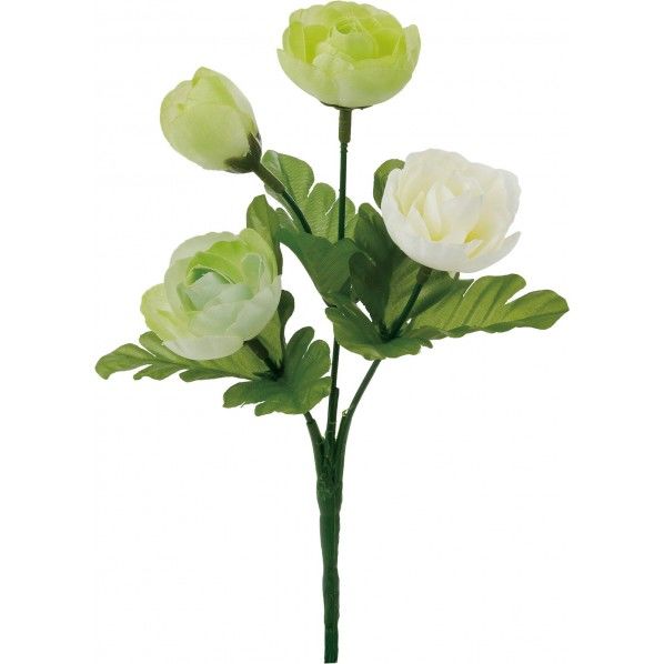 ラナンキュラスブッシュ FB -2534W 1本