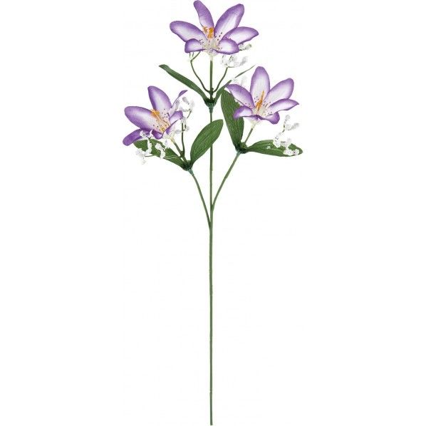 リリーカスミ付X3