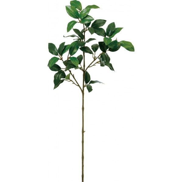 シキビスプレー FG -5093GR 1本