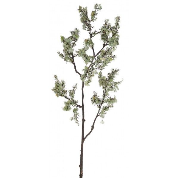 ボンサイブランチ FG -5141GGR 1本