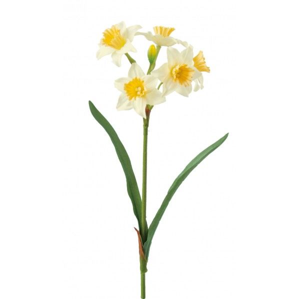 スイセンショート FS -5329L/Y 1本