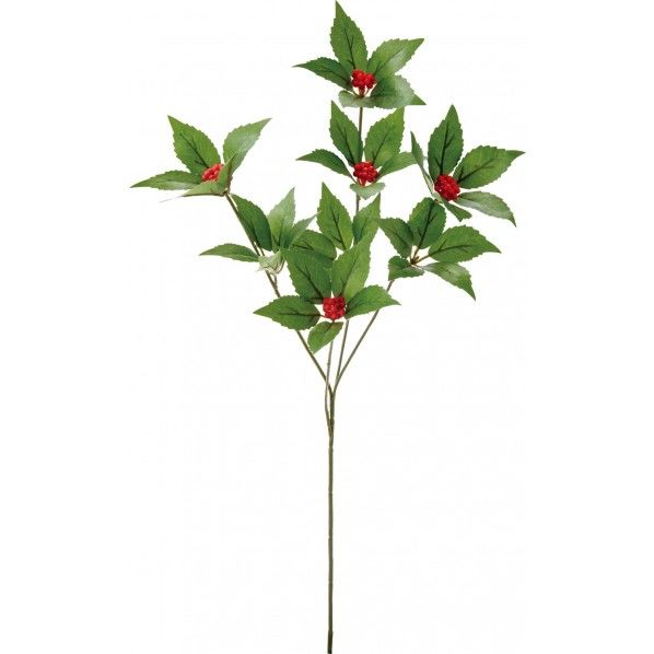 センリョウ FS -5335R 1本