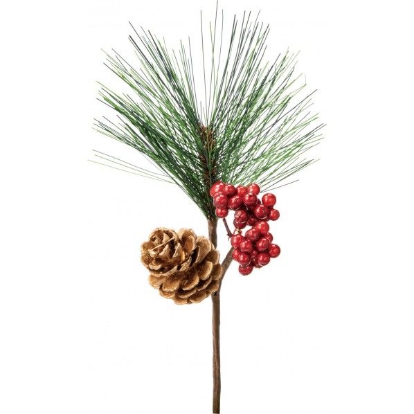 パインコーンミックスピック