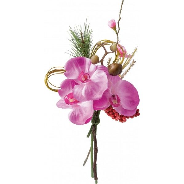 コチョウランミックスバンチ