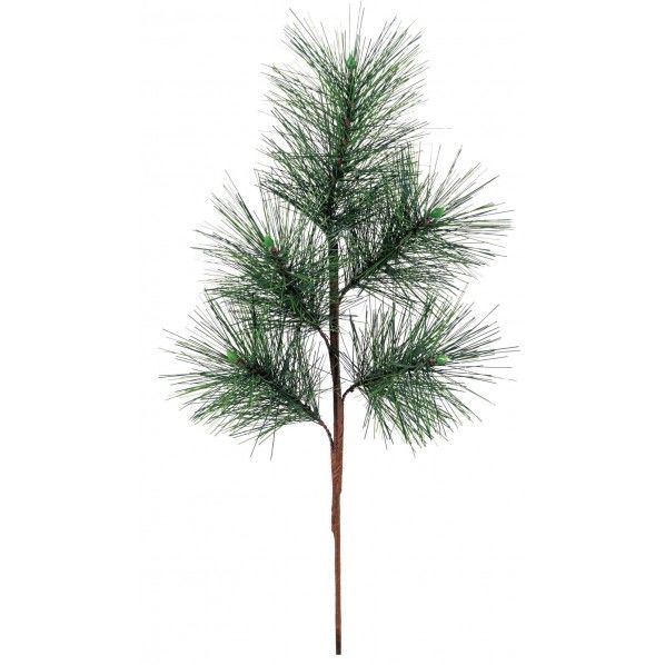 フクジュマツショート FS -5367GR 1本