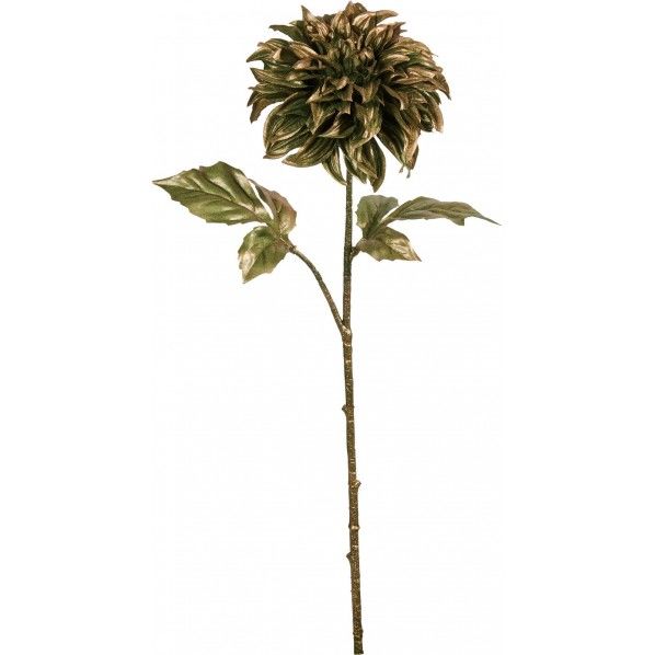 ブリリアンゴールドダリア