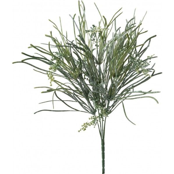 フロスティーシーグラスブッシュ FS -6058GR 1本