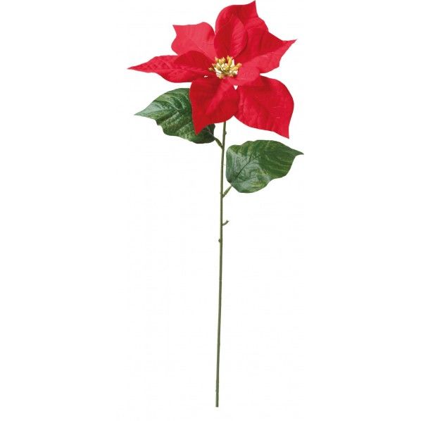 ベルベットシングルポインセチア FS -6063R 1本