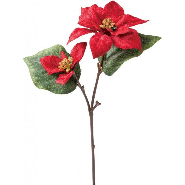 ベルベットポインセチアスプレー