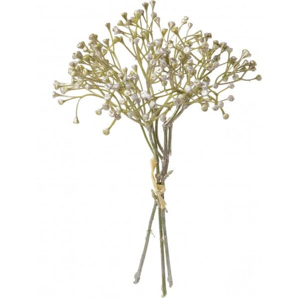 メタリックベリーピック