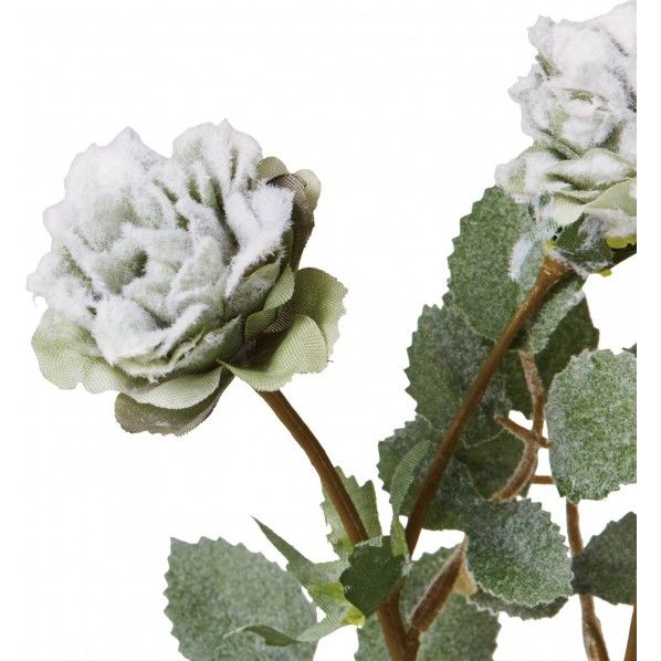 フローズンミニローズスプレー