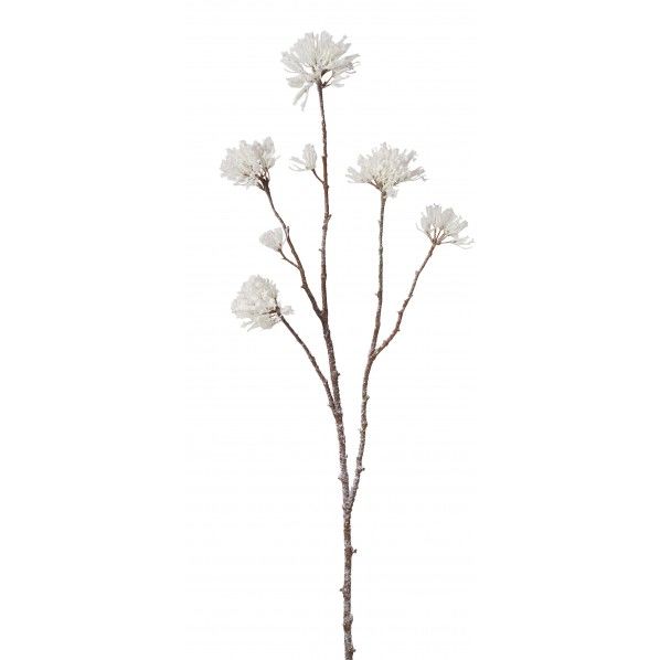 スノーカリアンドラブランチ FS -6104W 1本