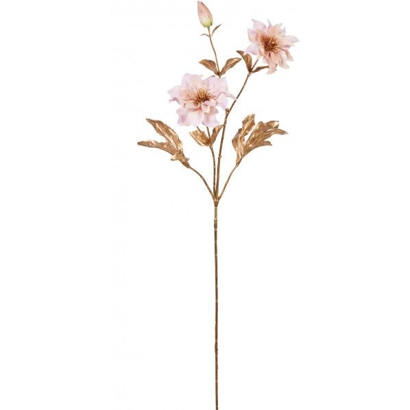 ブラッシュドクリスマスローズ FS -6105L/M 1本