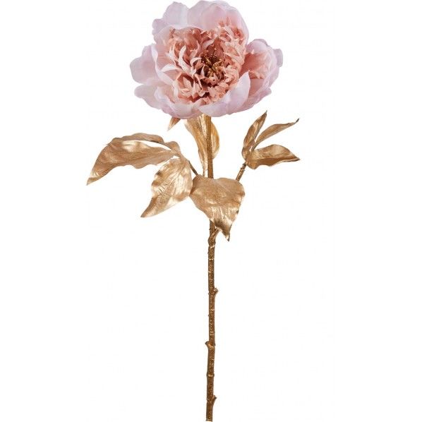 ブラッシュドピオニー