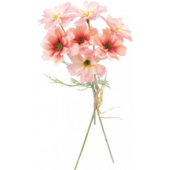 キバナコスモスバンドル FS -9064PBT 1束