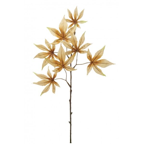 アンティークモミジ