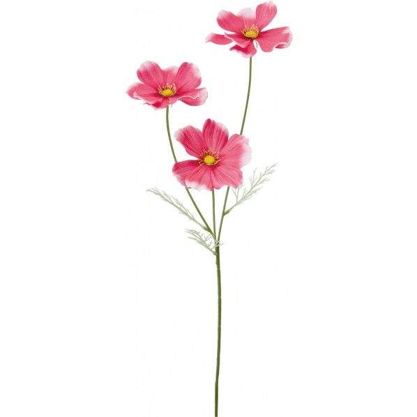 サテンコスモス＊3 FS -9919BTY 1本