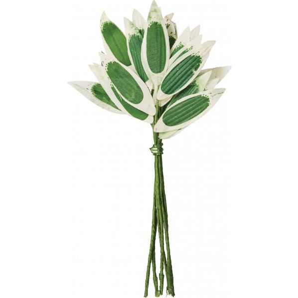 ササピック(6P) NA -237 1セット