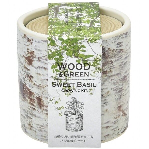 ウッド&グリーン 白樺 バジル GD-89601 1個