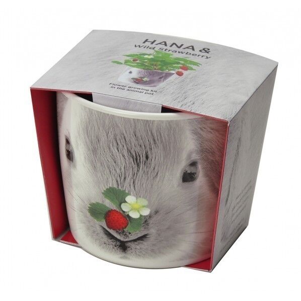 ハナ&アニマルズ ウサギ ストロベリー GD-85801 1個