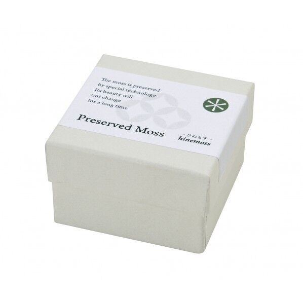 プリザードモス 枡 GD-884 1個