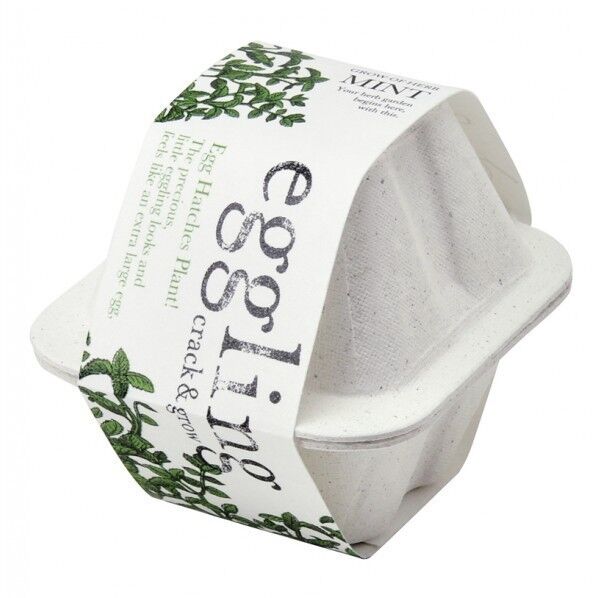 エッグリング エコ ミント EG-4801 1個