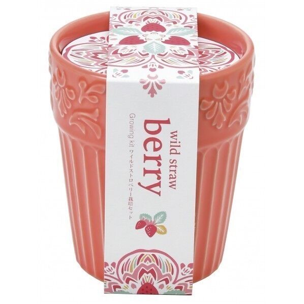 ボタニカルポット ストロベリー GD-90401 1個