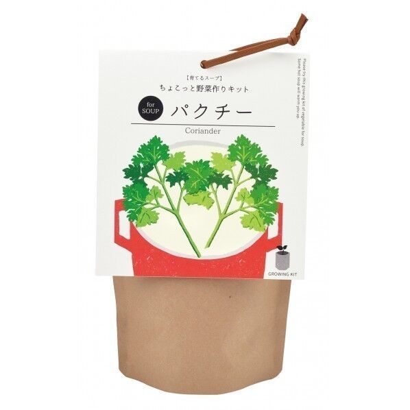 育てるスープ パクチー GD-79501 1個