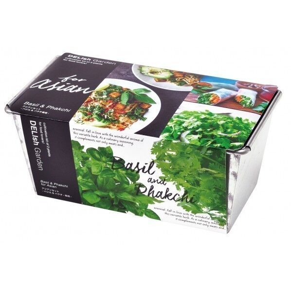 デリッシュガーデンダブル アジアン GD-81401 1個