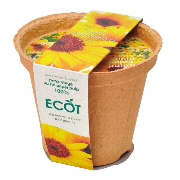 スマイル サンフラワー