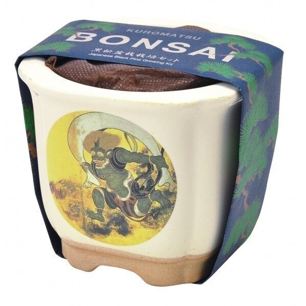 JAPANESE BONSAI 風神 GD-64001 1個