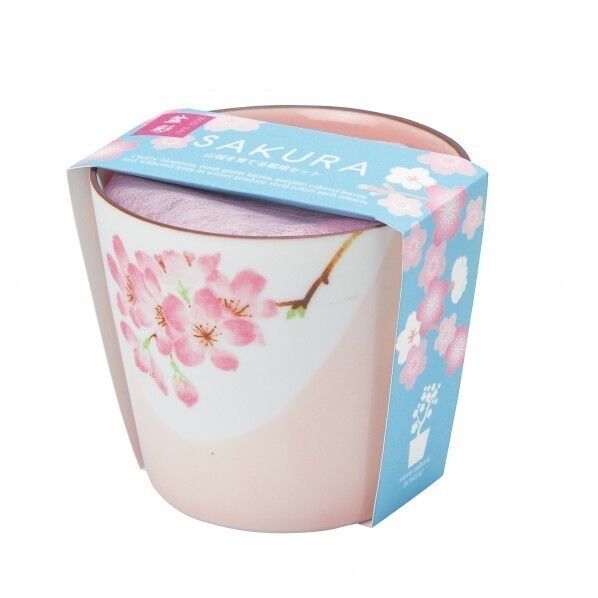 盆彩栽培セット 桜 GD-45301 1個