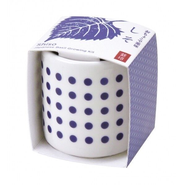 おちょこ栽培セット しそ GD-89001 1個