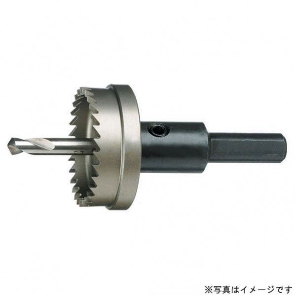 ホルソーシャンク 1つ