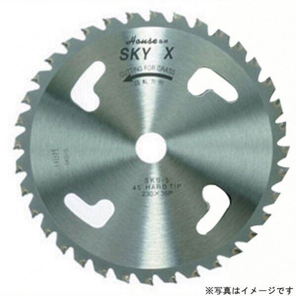 スカイ× (箱入仕様) 1つ