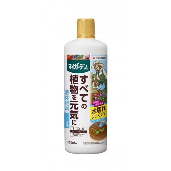 1個