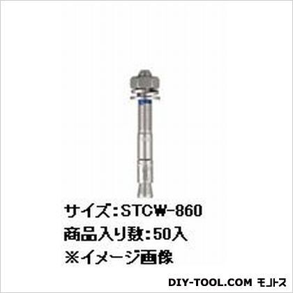 トルコンアンカー (ウェッジ式) ステンレス製
