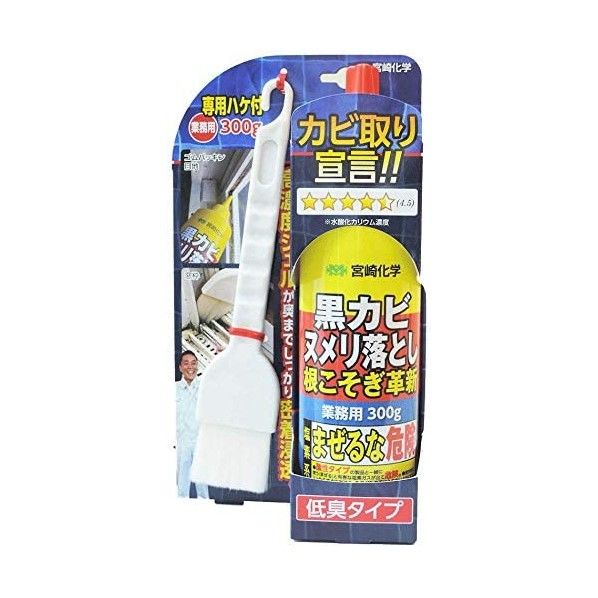 5700101 ネコソギカクシン 1個