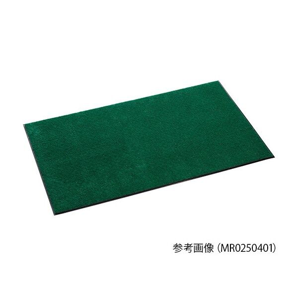 MR0250401 1枚