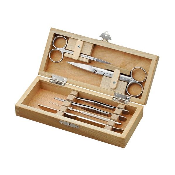 小解剖セット 6点セット