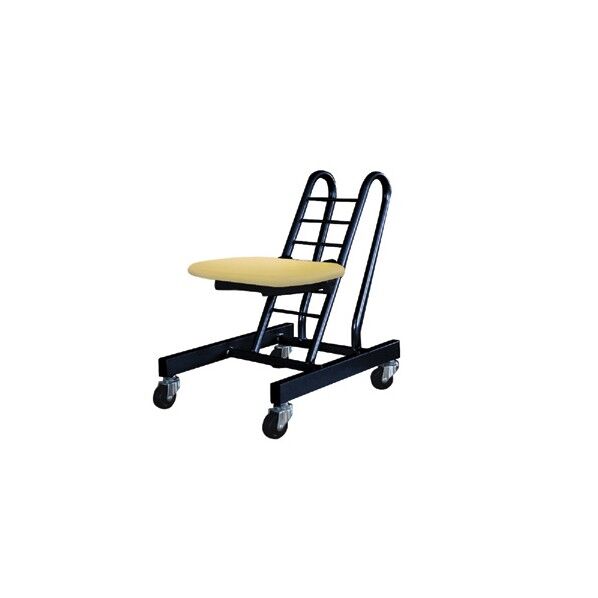 ムーブスマート ブラック ナチュラル PMS-20T/16 1点