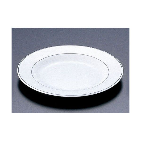 ガストロノミー ミート皿 φ240mm RLS28 1個