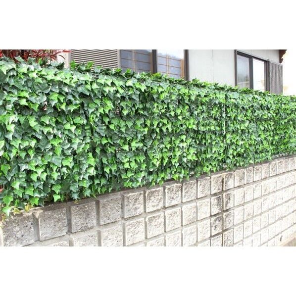 リアルグリーンフェンス(1X1M)アイビー TAN-797 1台