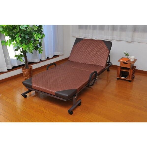 14ダンリクライニングベッド3 ブラウンBR TAN-113 1台