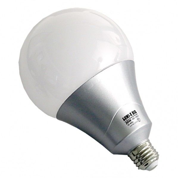 LUMI-X BIG LED電球 30W 約198mm LED-30LX 1個