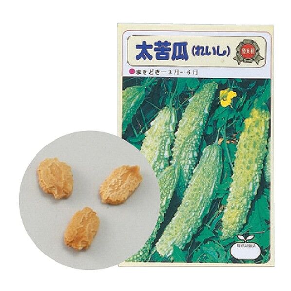 野菜の種ツルレイシ(苦瓜)苗床付 2735 1