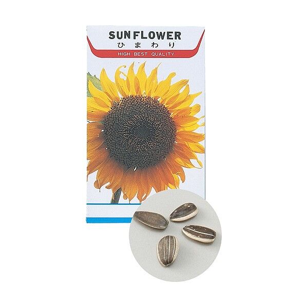 花の種ヒマワリ苗床付 2741 1