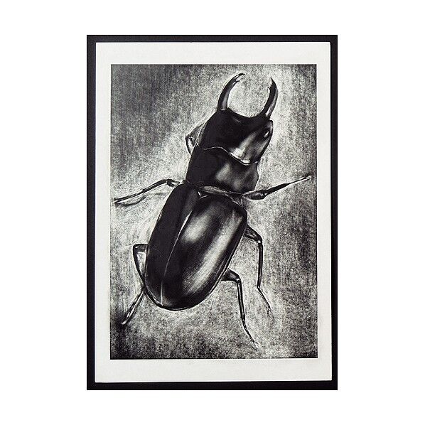 けしゴムスクラッチ 黒 260×380×1mm 1